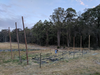 Building Hop Trellises With Our Bare Hands