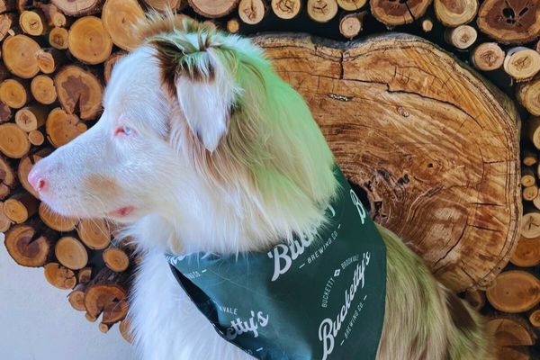 Bucketty's Dog Bandana