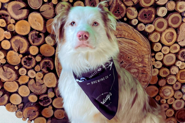 Bucketty's Dog Bandana