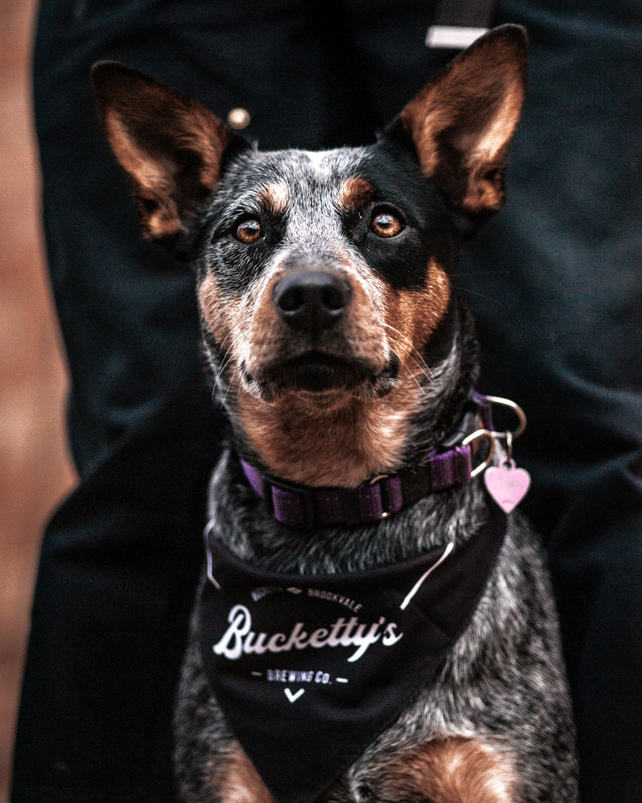 Bucketty's Dog Bandana